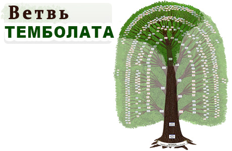 4_tembolat.jpg