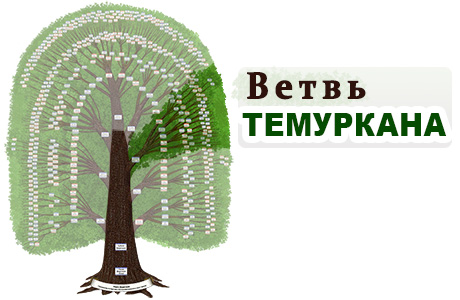 6_temurkan.jpg
